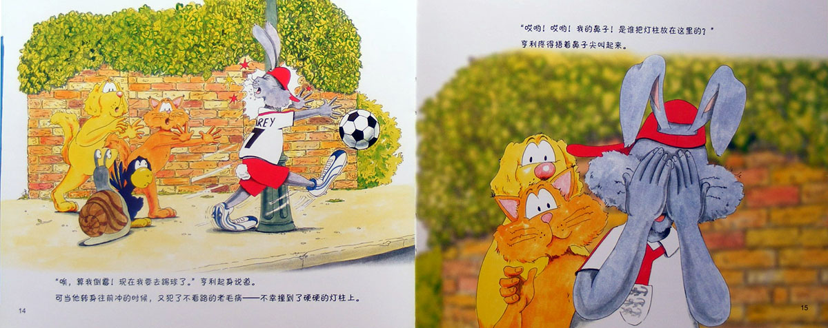 球王住进了医院 (07),绘本,绘本故事,绘本阅读,故事书,童书,图画书,课外阅读